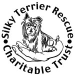 Silky Terrier Rescue Charitable Trust