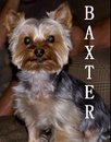 Baxter