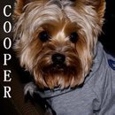 Cooper