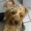 Jack