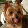 Lola