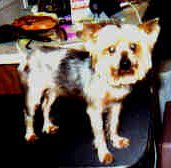annie - before