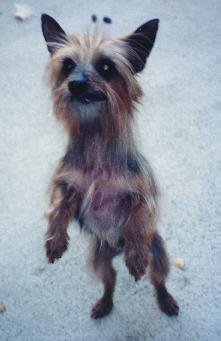 minnie, november 2001