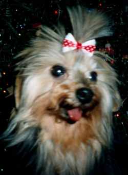 gaby