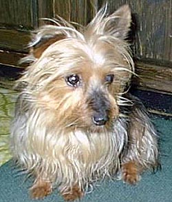 daisy June, 1999