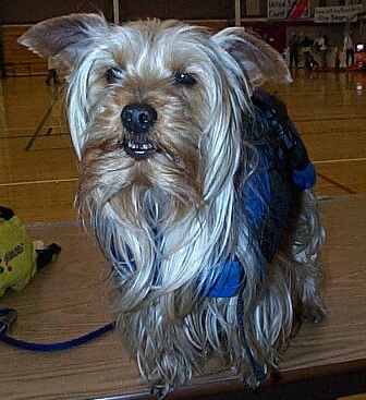 murphy
